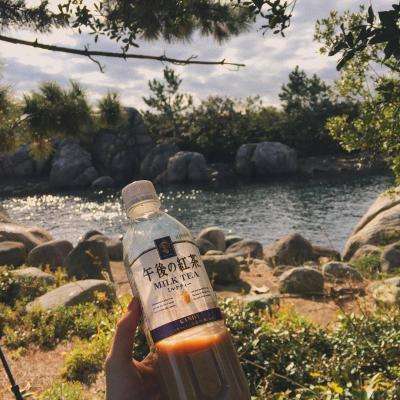 北京k10赛车下载截图